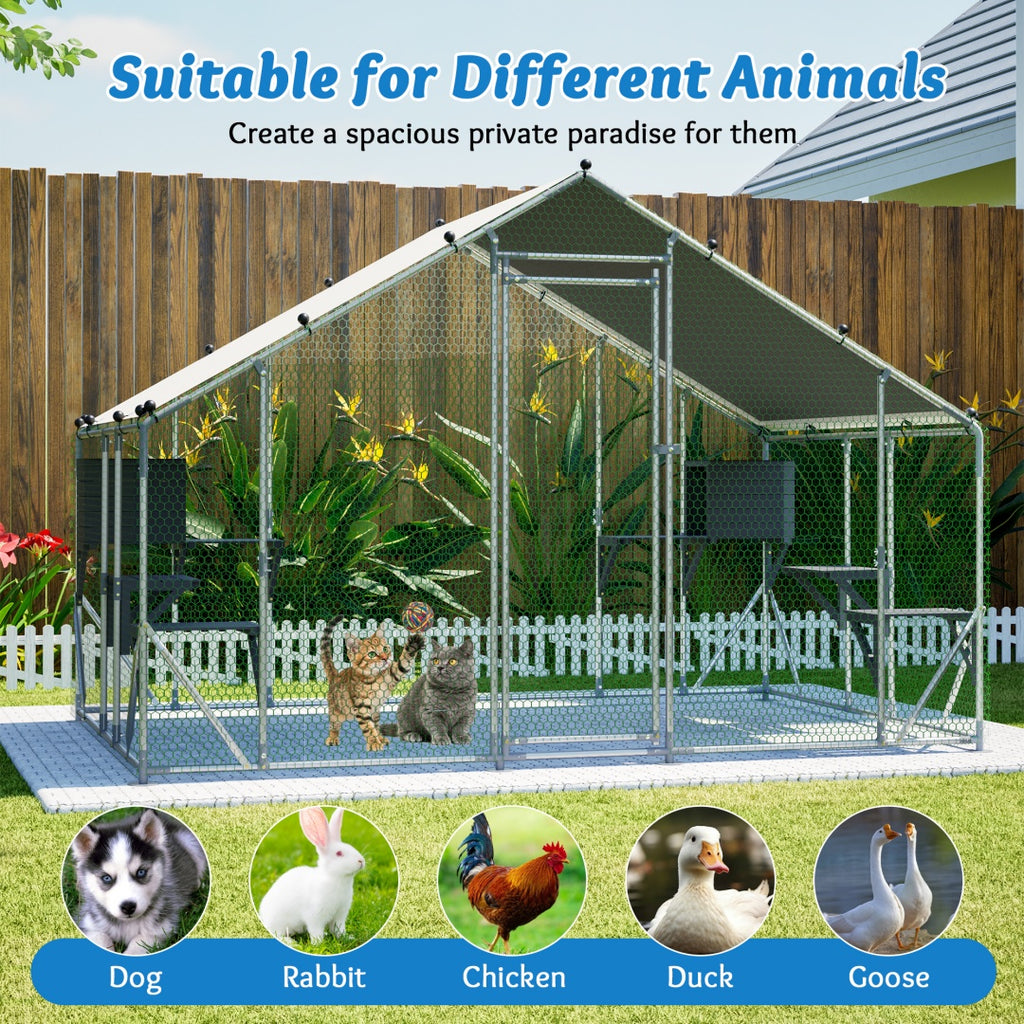 Extra robuste 3x2m en métal extérieur Cage de chat - Plate-forme en bois massif DIY