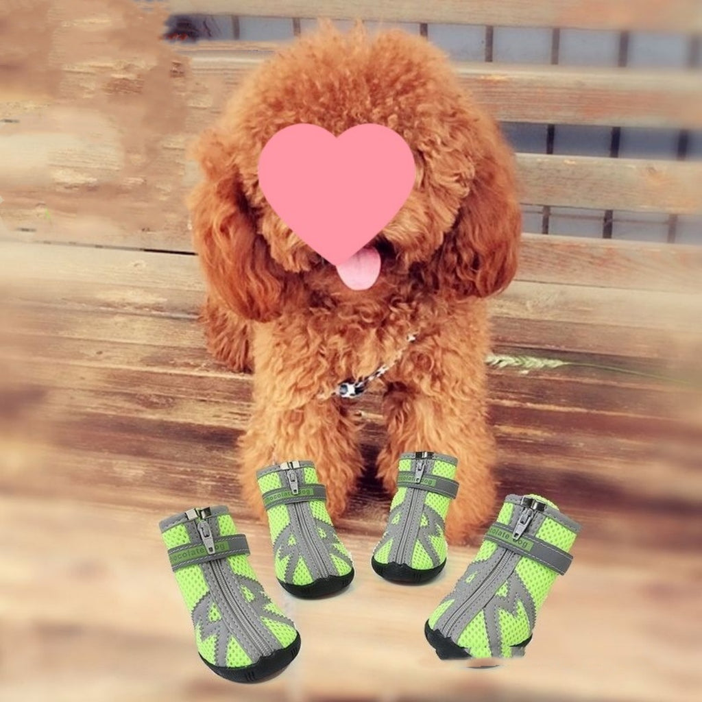 Chaussures pour chiens imperméables, antidérapantes, résistantes à l'usure