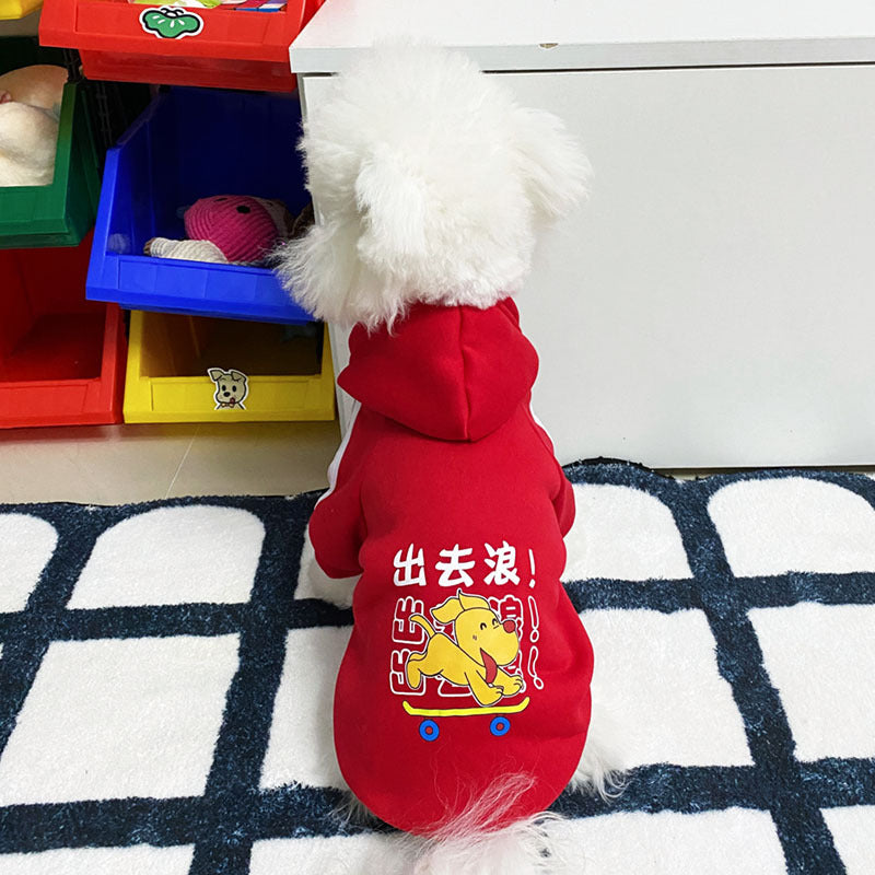 En automne et en hiver, les vêtements de chien sont mignons