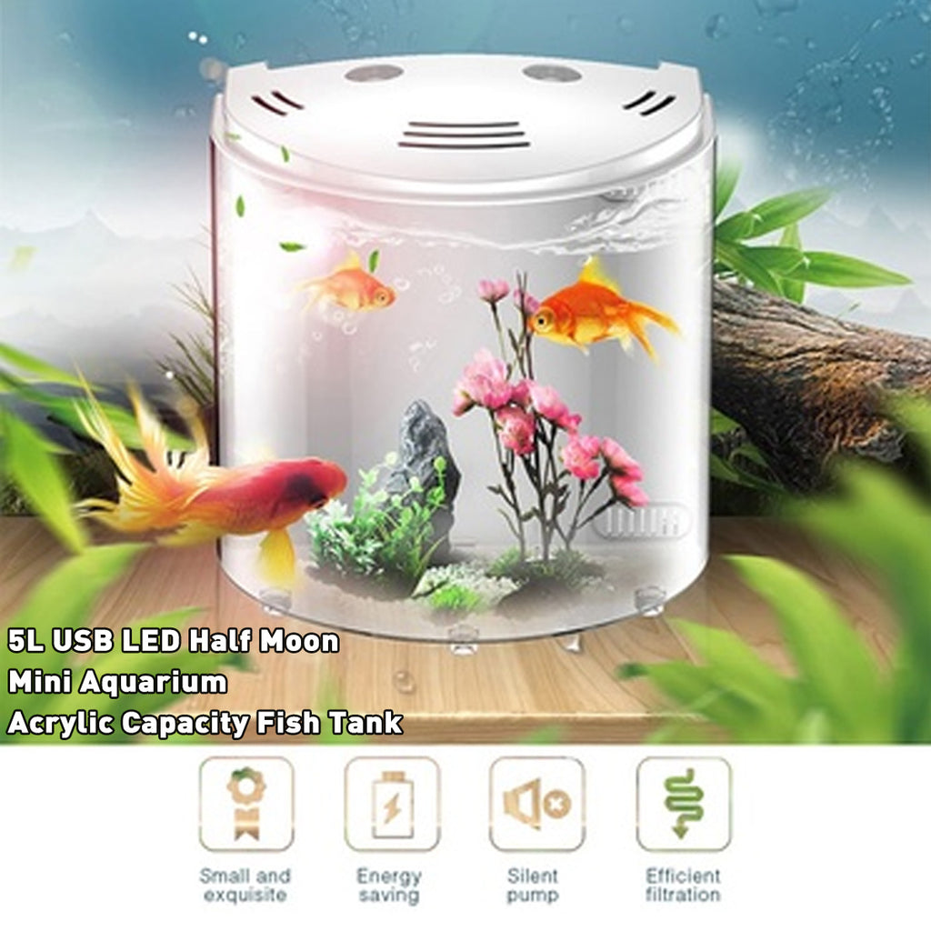 Réservoir écologique de poisson acrylique
