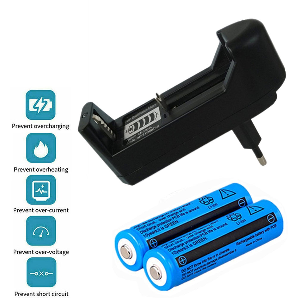 Chargeur de batterie avec batteries Li-ion 18650 3.7V 3000 mAh