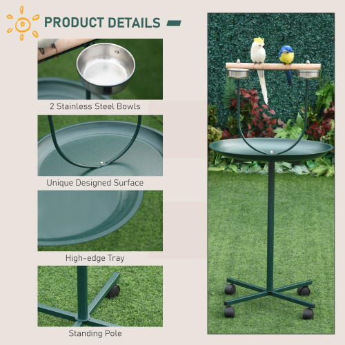 Rolling T-Bracket Bird Activité terrain de jeu avec Perch