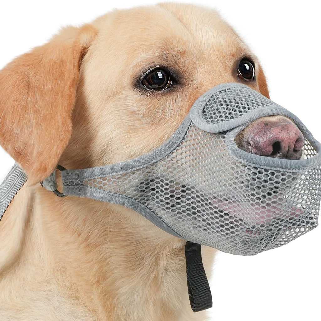 Muselière ajustable pour chien de compagnie qui permet de boire tout en prévenant les piqûres et les câlins