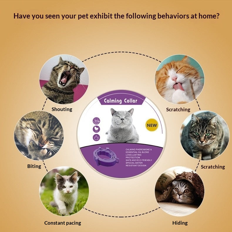 Phéromone Town Pet Calmant Collar