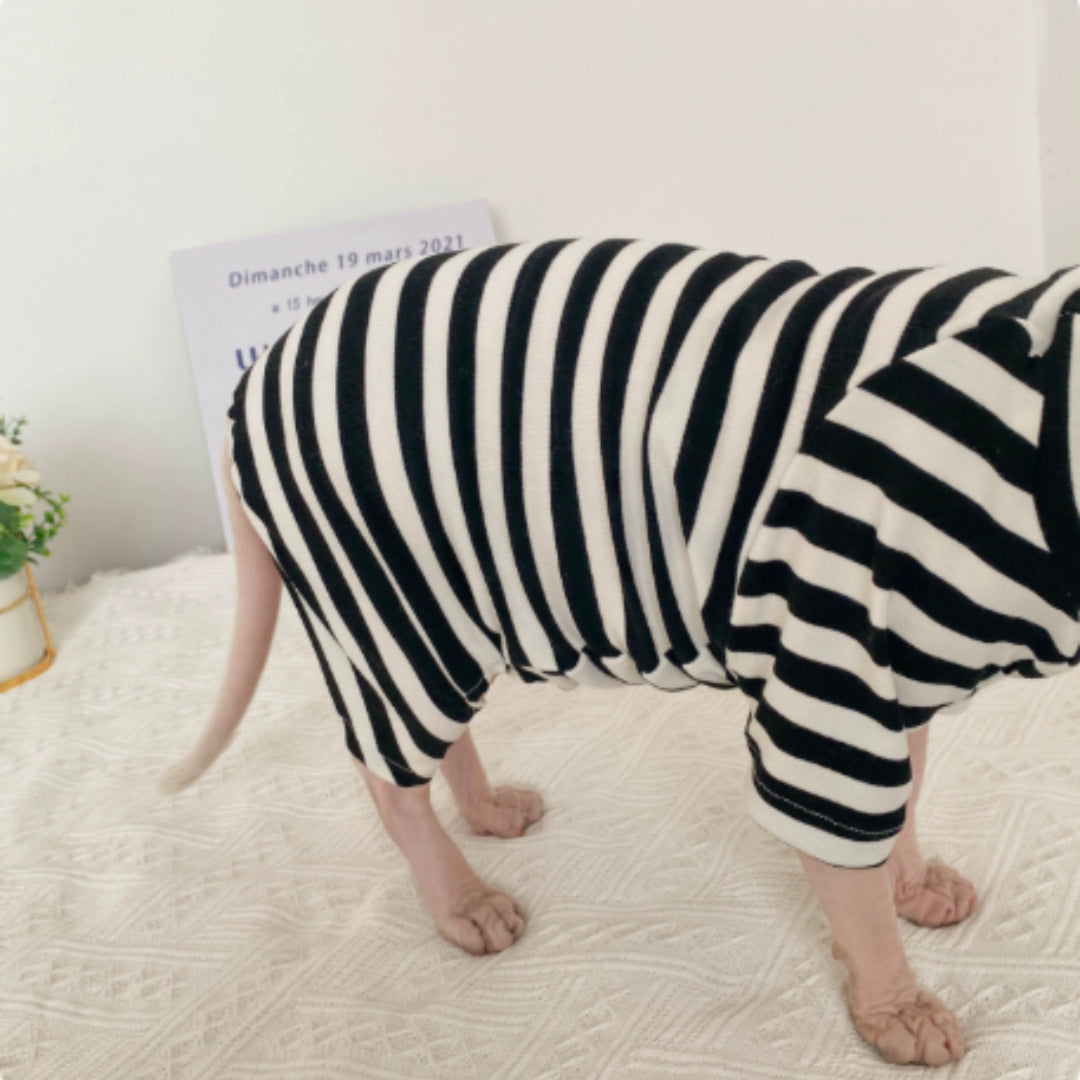 Sphinx de chat sans cheveux Vêtements Allemand bandes de chat