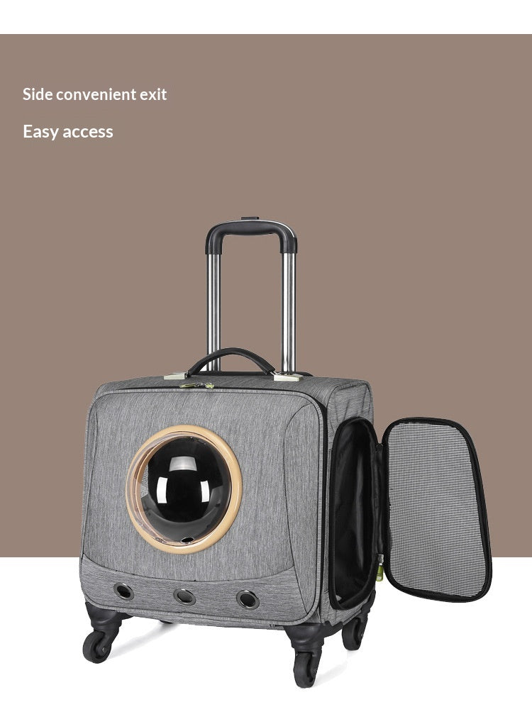 Transporteur universel pour animaux de compagnie