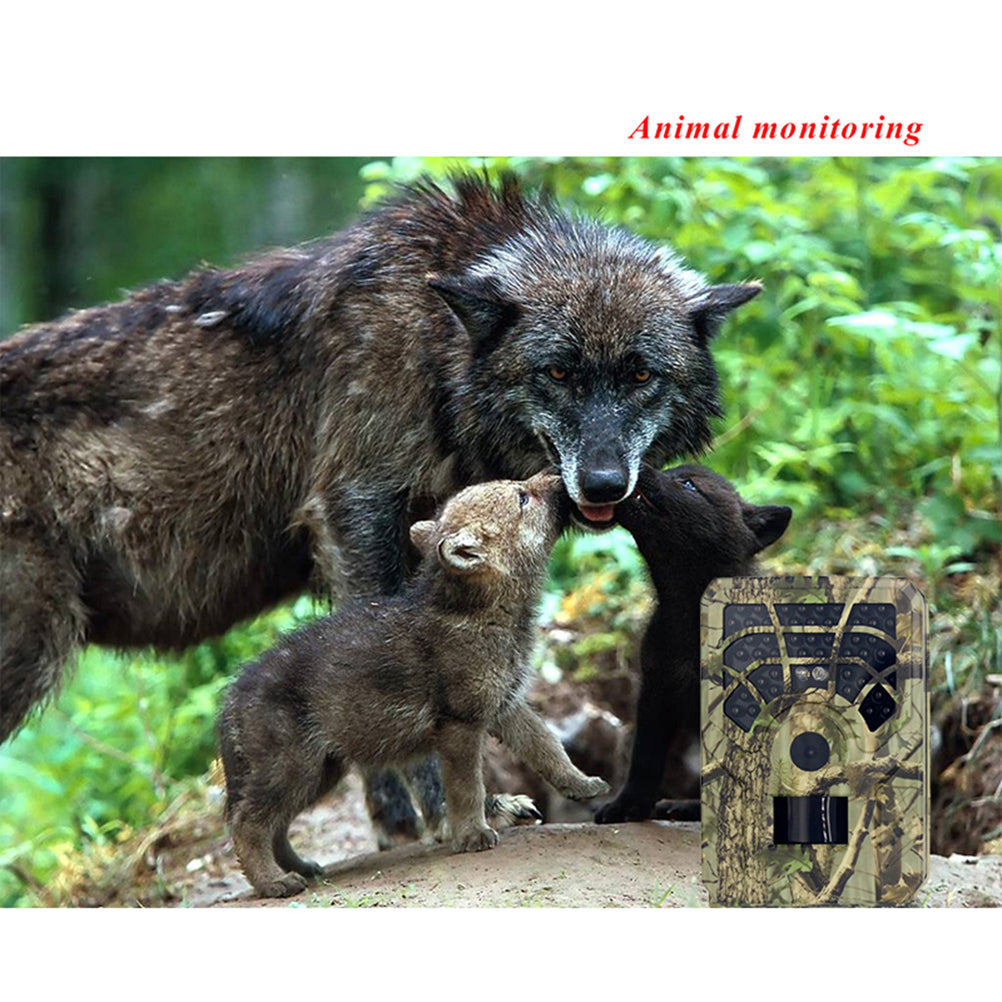 Caméra de chasse Caméscope de sentier de camouflage utile durable pour l'extérieur