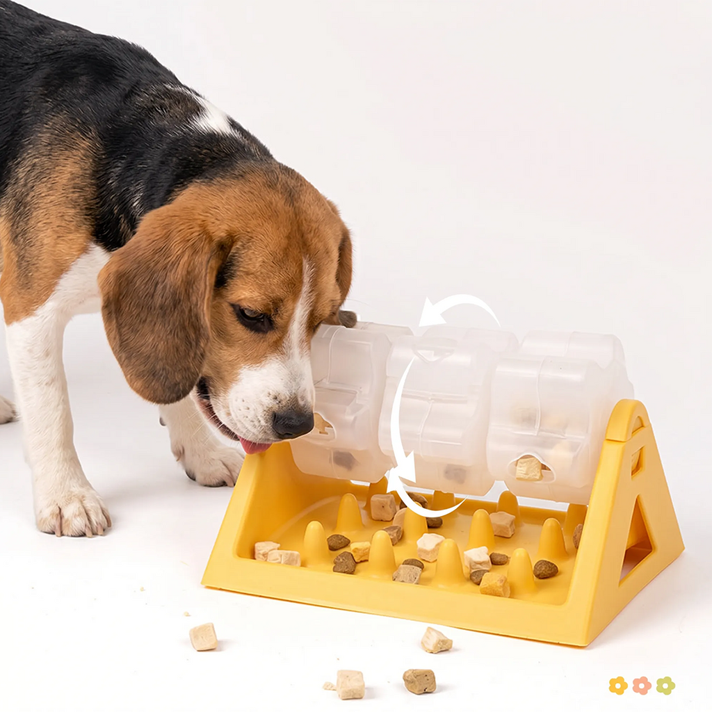 Puzzle Rotation Dog Bowl Slow Feeder Anti Bloat Gulp Plat interactif