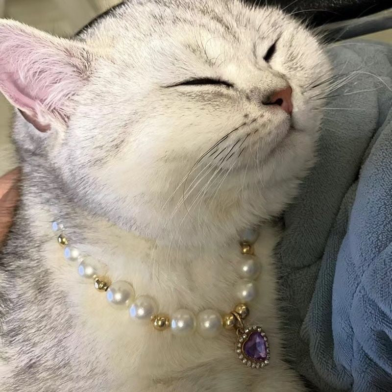 Internet populaire Celebrity Cat Pearl Collier