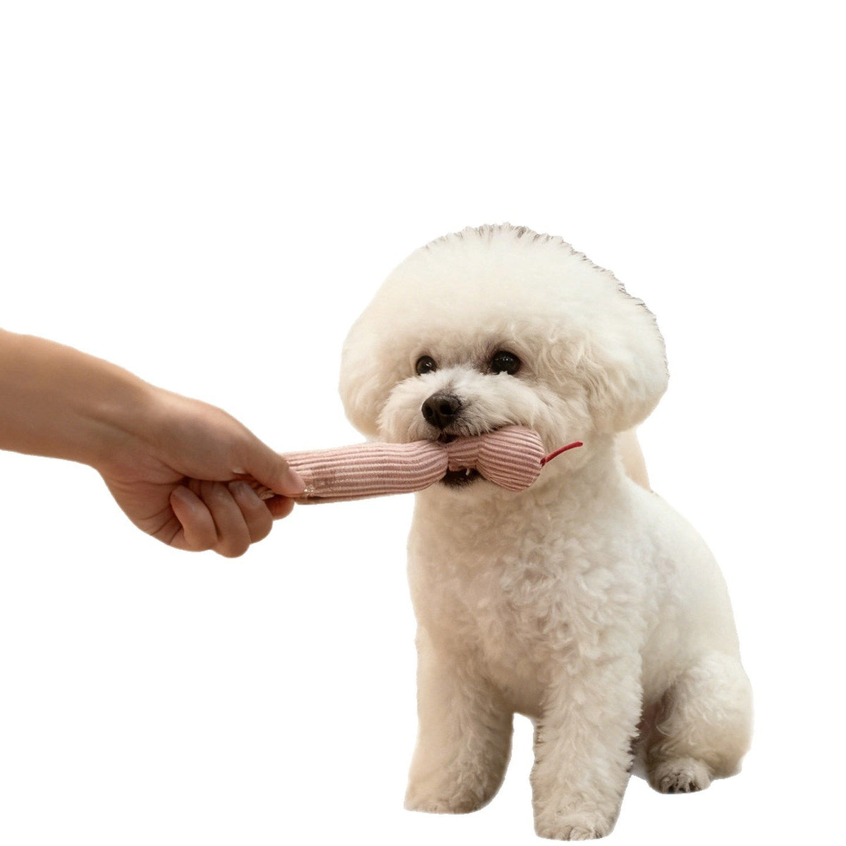 Pet Cat Snake Toy