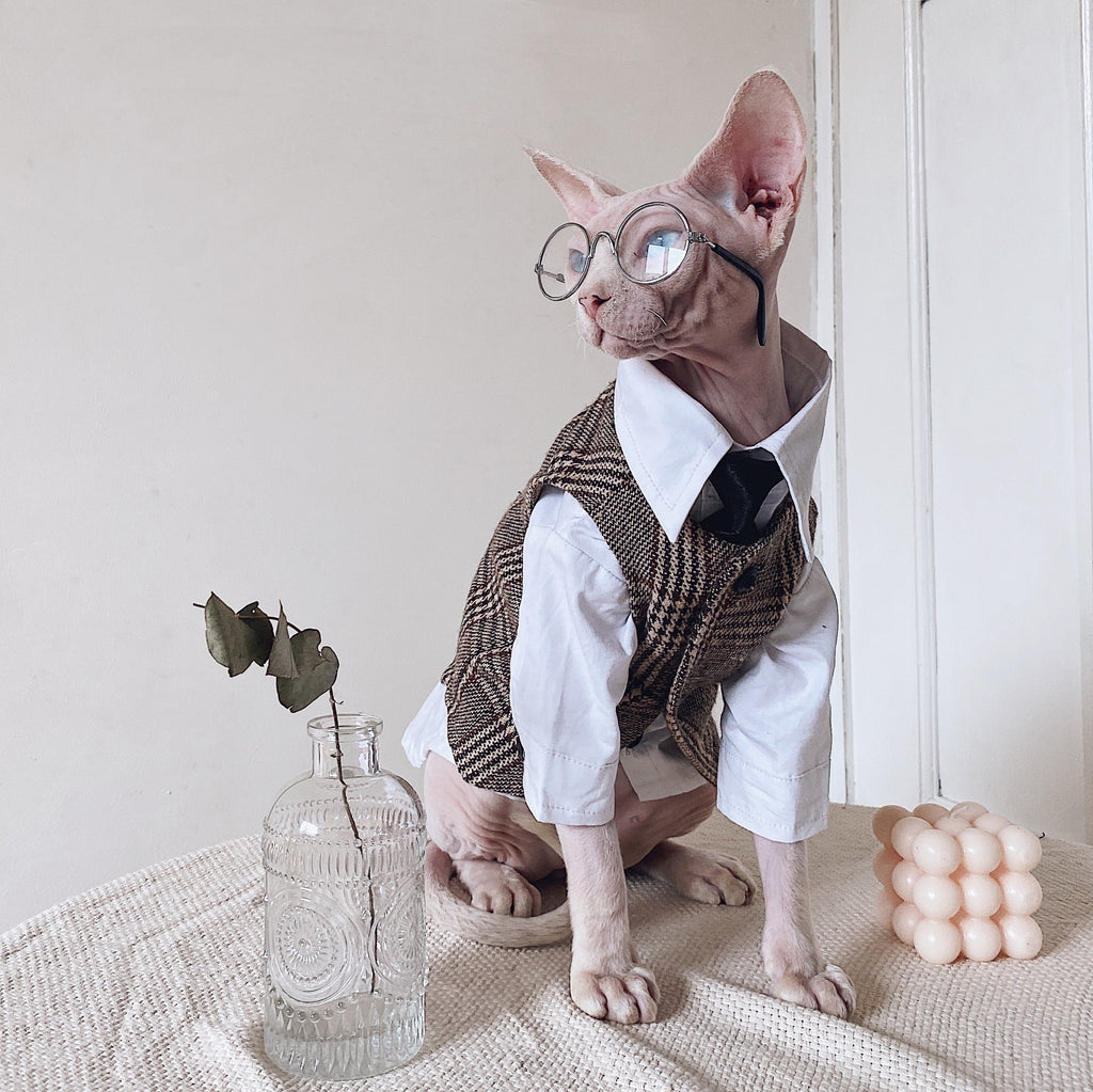 Robe de chat Sphynx Tie Vest Blazer Set pour chats sans cheveux