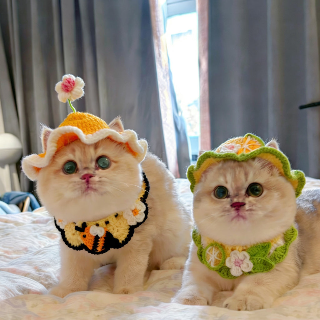 Chapeau de fleur de printemps et ensemble de bib de chat et de grenouille de chien