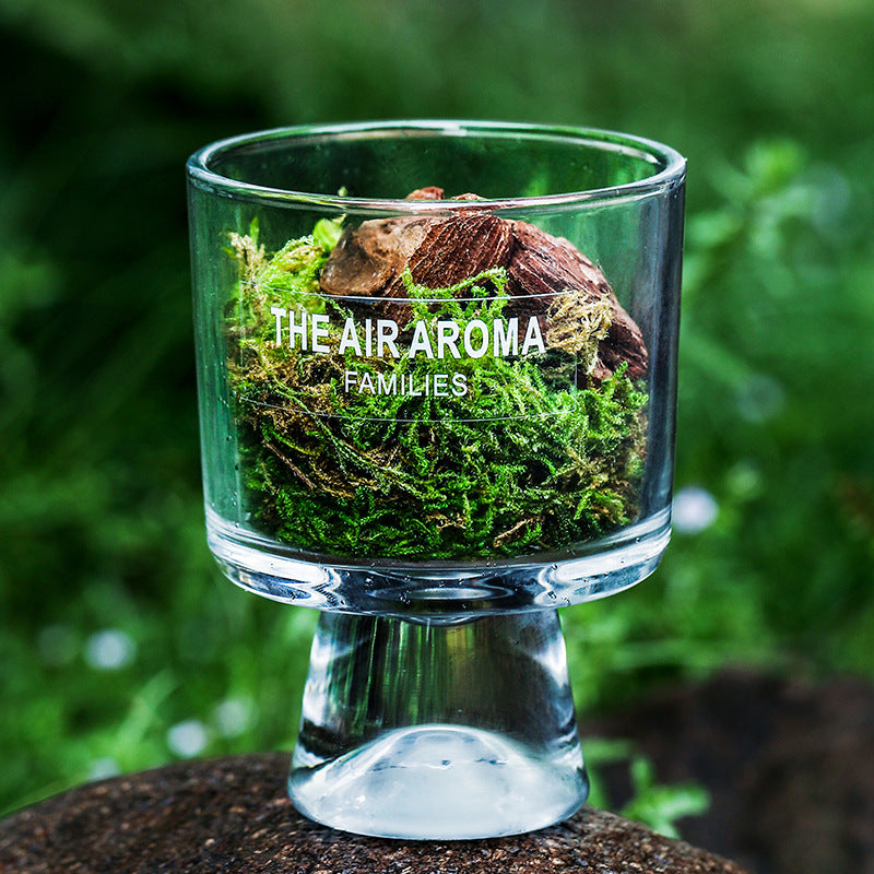Pine Wood and Moss Aroma Diffuser Cup Ornement sans feu