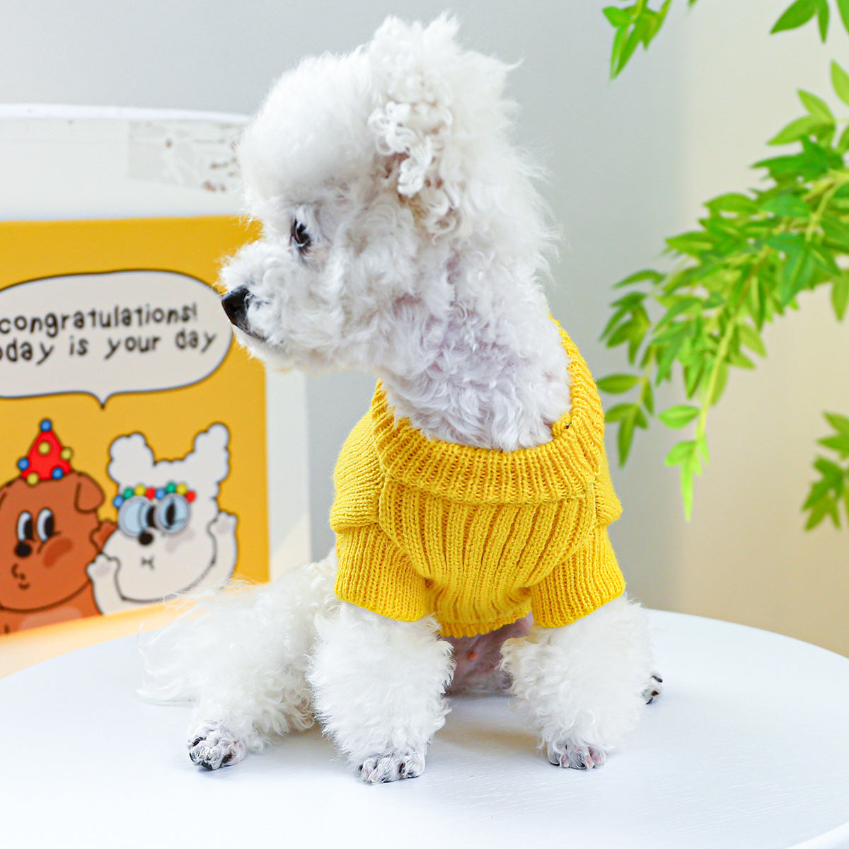 Vêtements de chien d'anneau d'animal chaud