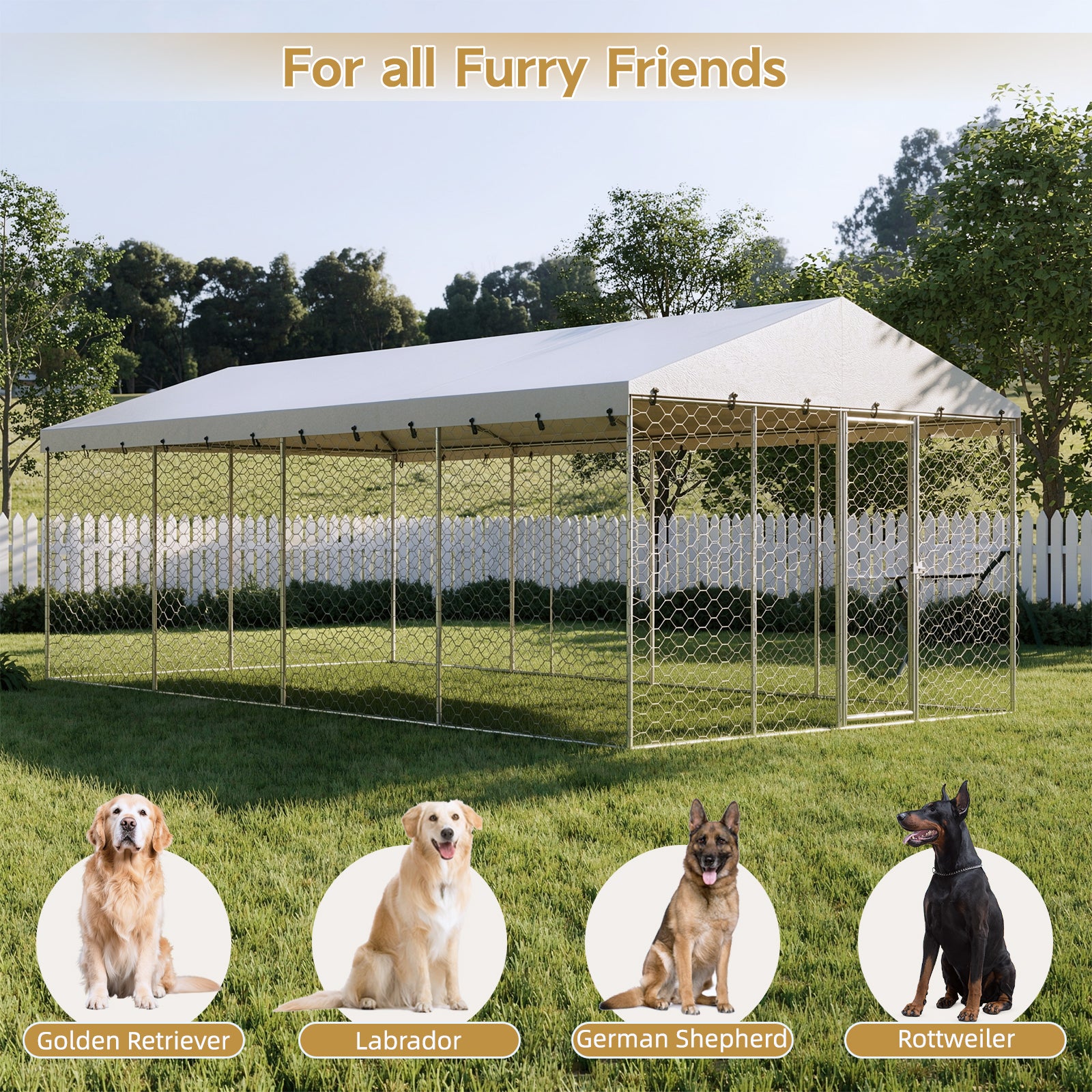 10x20 FT Grand Kennel de chien extérieur avec canopée