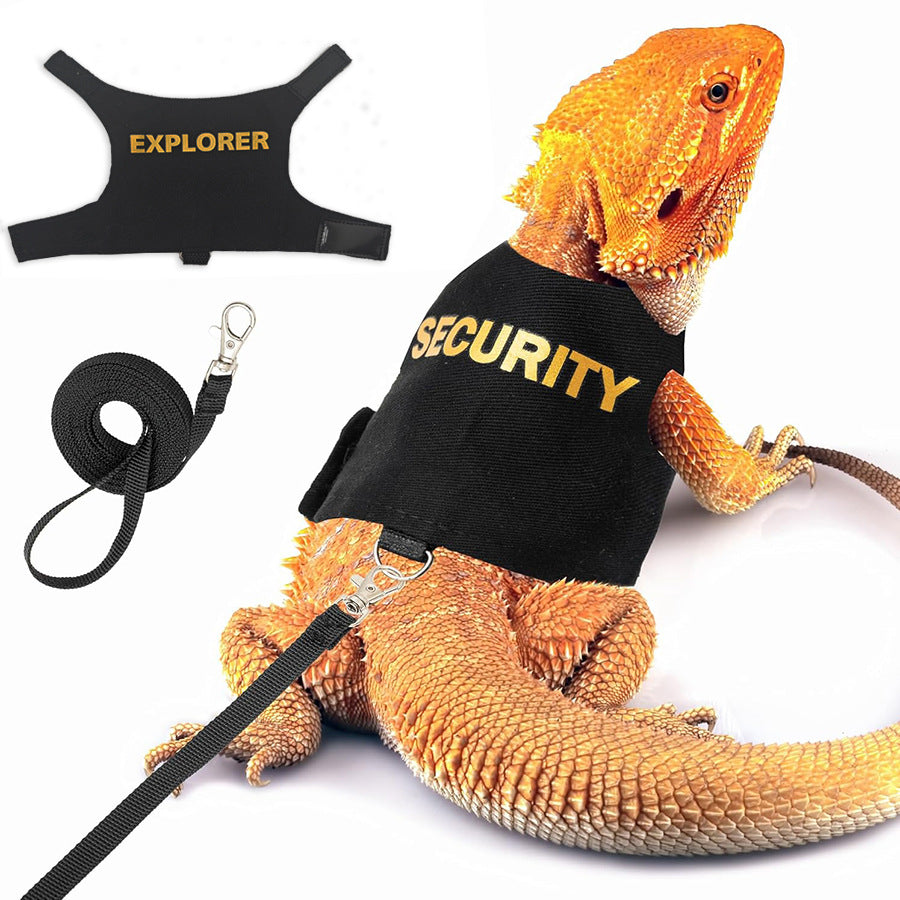 Lézard Leash Reptile Extérieur Poitrine et Harnais de dos