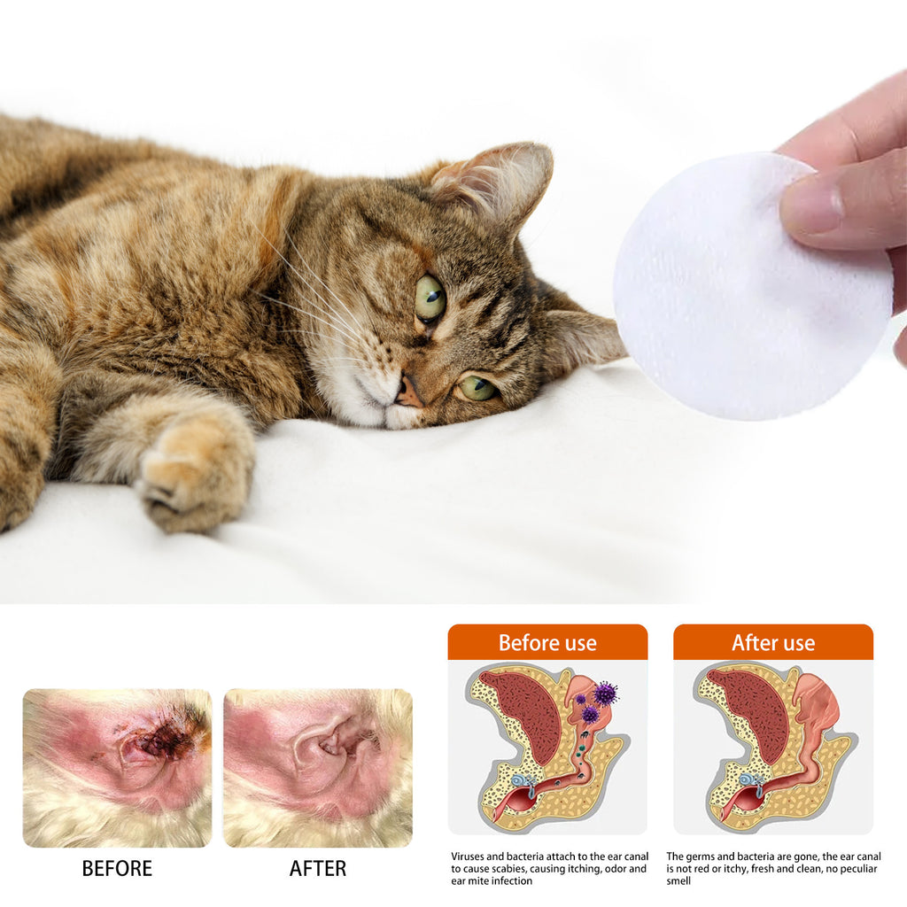 Essuie-glaces pour animaux domestiques