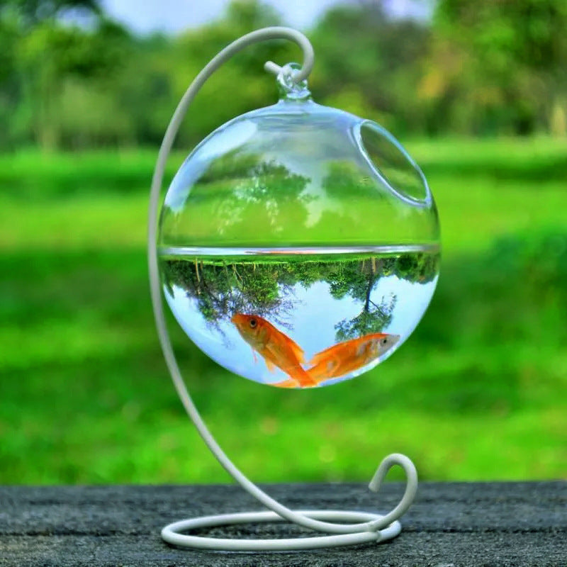 Réservoir de poisson en verre suspendu