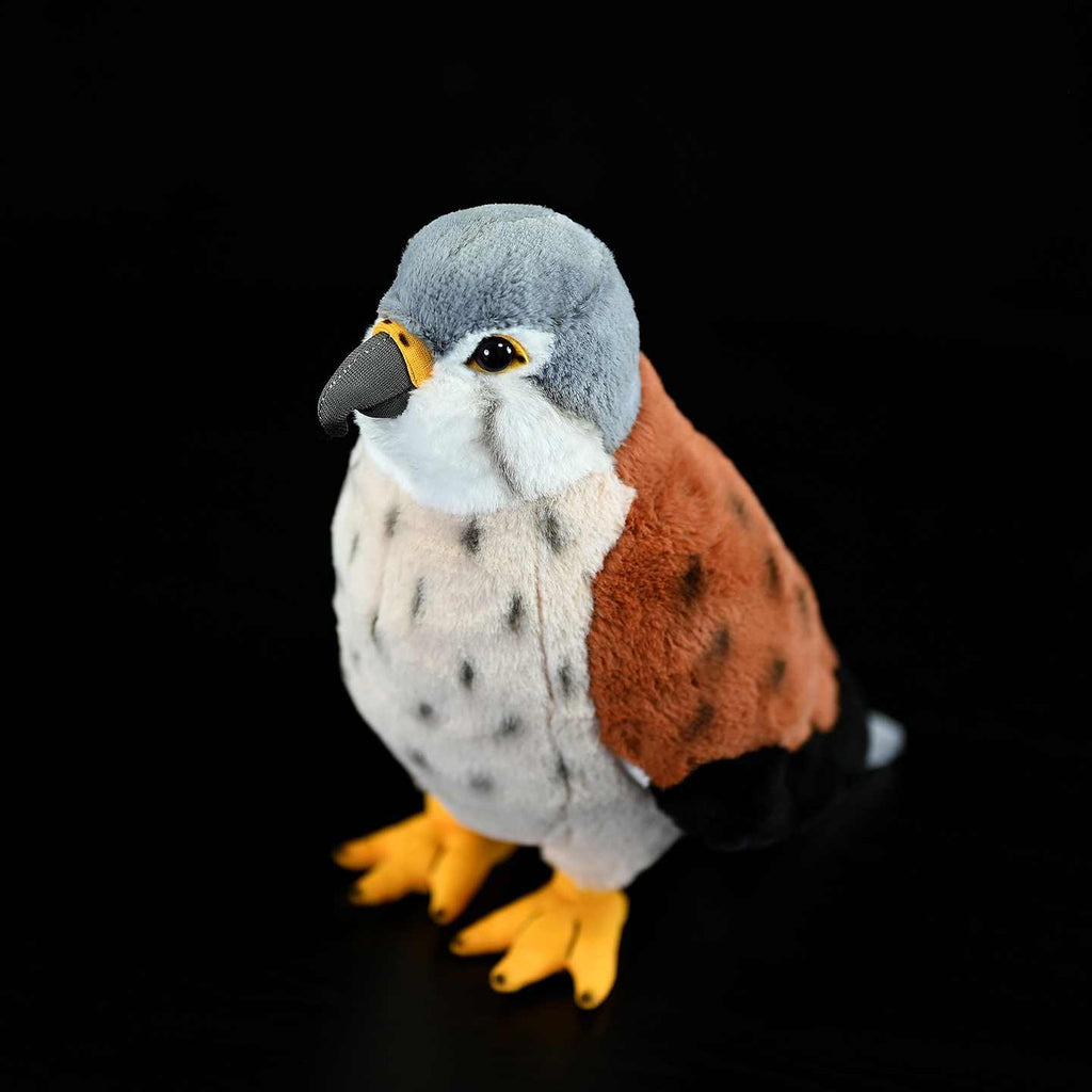 Kestrel peluche jouet Rouge Eagle poupée mignon