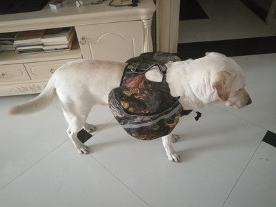 Sac à dos pour chiens de compagnie pour grands chiens avec circonférence réglable de poitrine