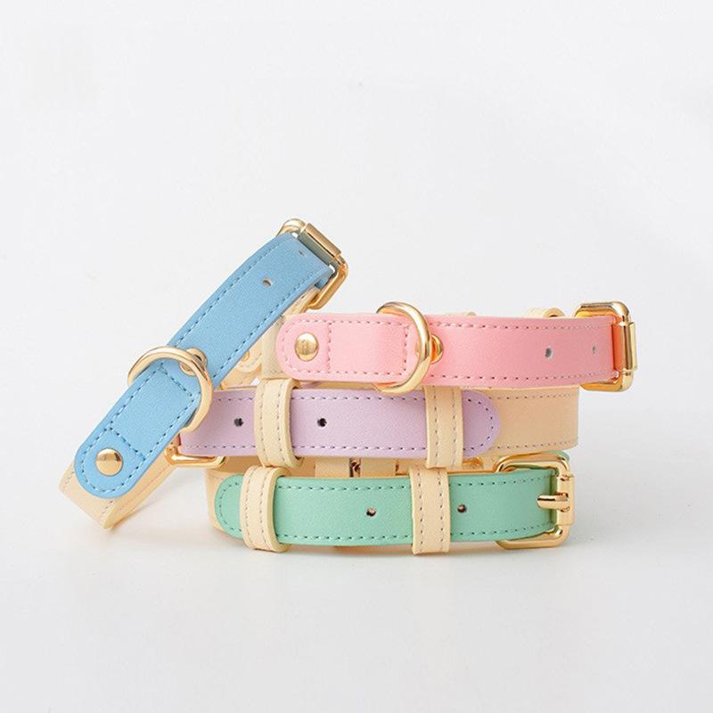 Collier en cuir pour chiens de taille petite et moyenne