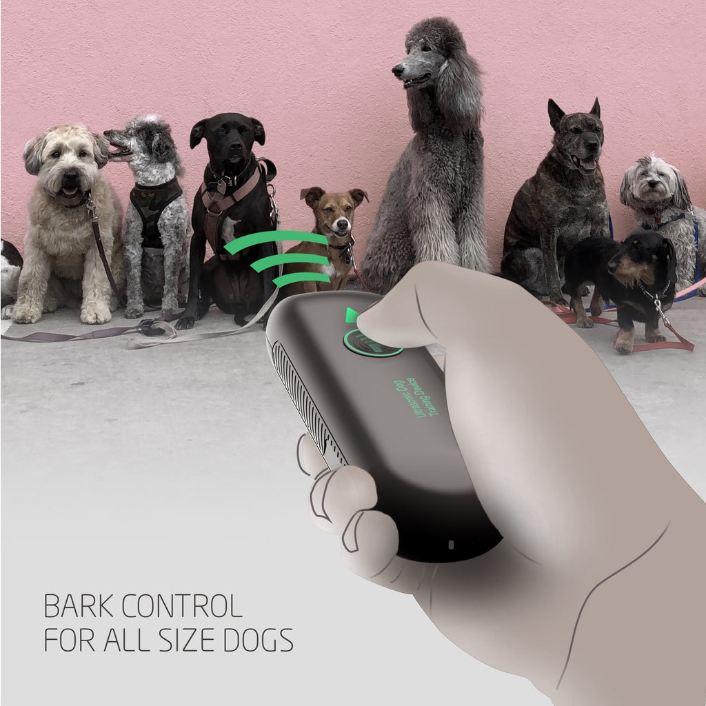 Appareil de répulsif portatif à ultrasons anti-brouillard pour chiens