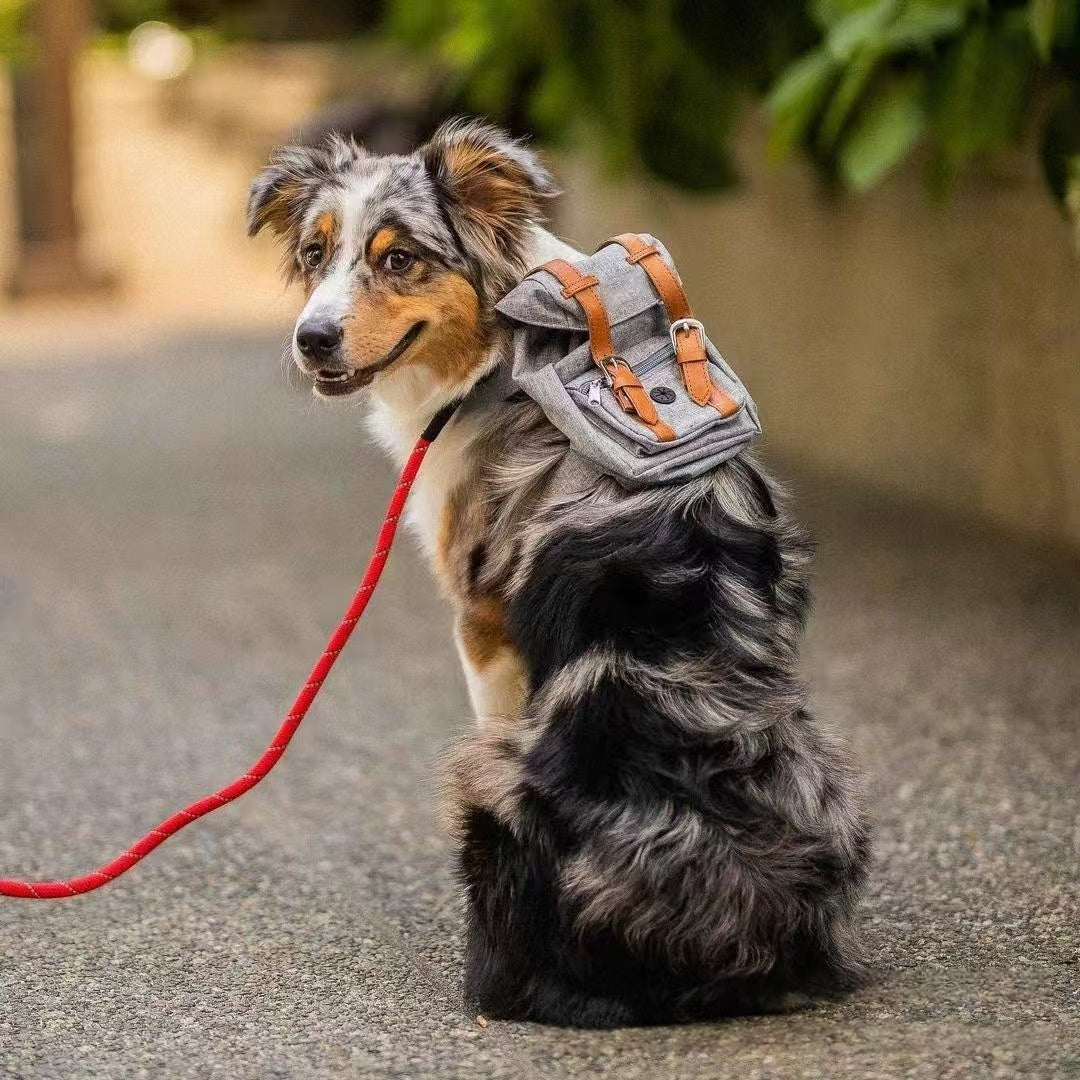Retro Streetwear Dog Backpack Petite Pet Carrier
