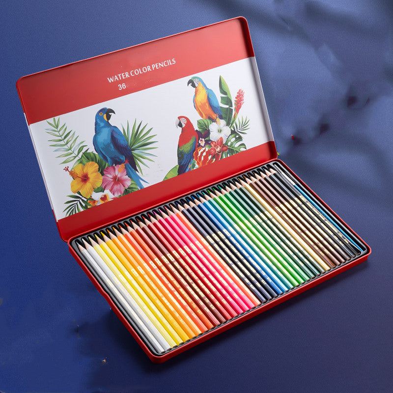 Ensemble de dessin de crayon couleur à base d'huile soluble dans l'eau