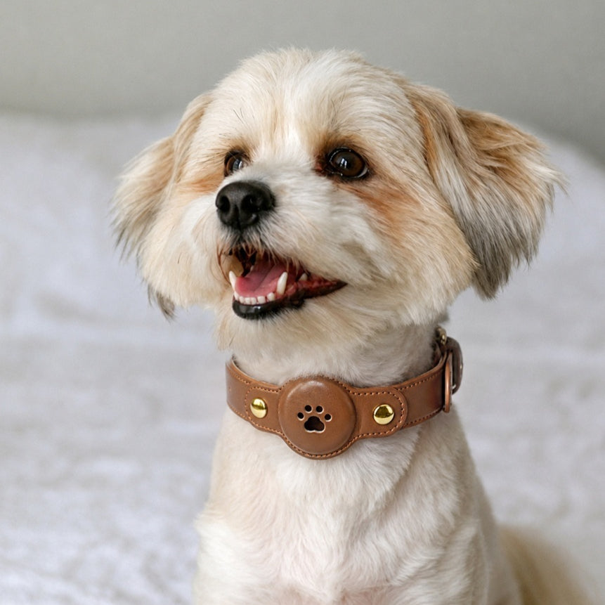Collier GPS en cuir PU en cuir