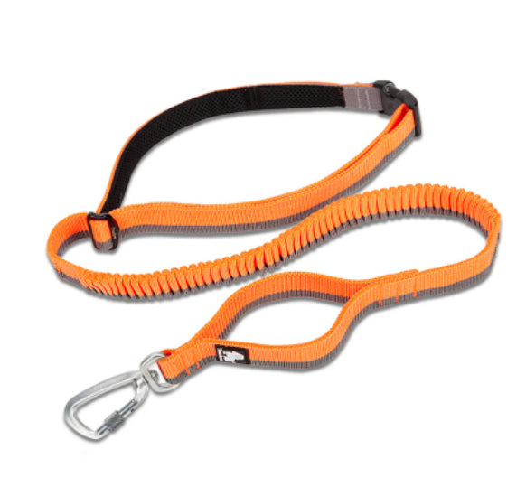 Pet Dog laisse avec élastique adapté pour courir et activités de plein air peut être attaché à