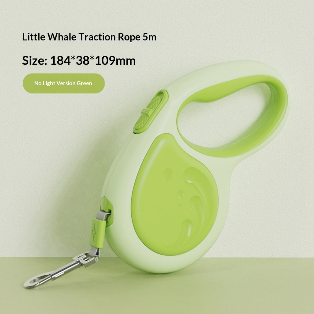 5m laisse rétractable pour animaux avec lampe de poche