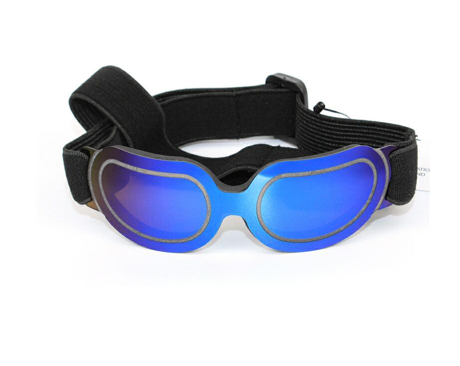Animaux de compagnie fournitures colorés lunettes de chien lunettes Amazon