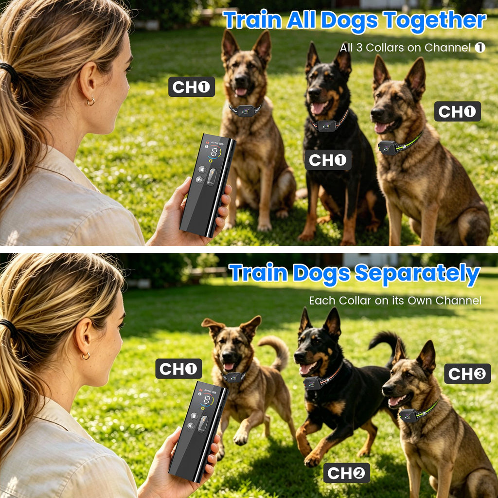 1Pc 2 en 1 chien Choc et collier de barque collier d'entraînement de chien avec télécommande rechargeable IP68 Wat