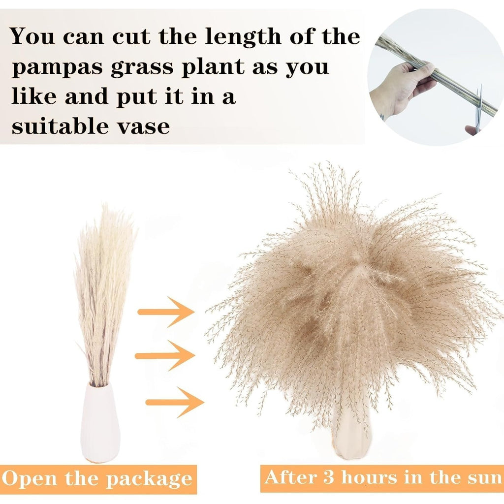 Ensemble de 128 décors d'herbes de pampas séchés