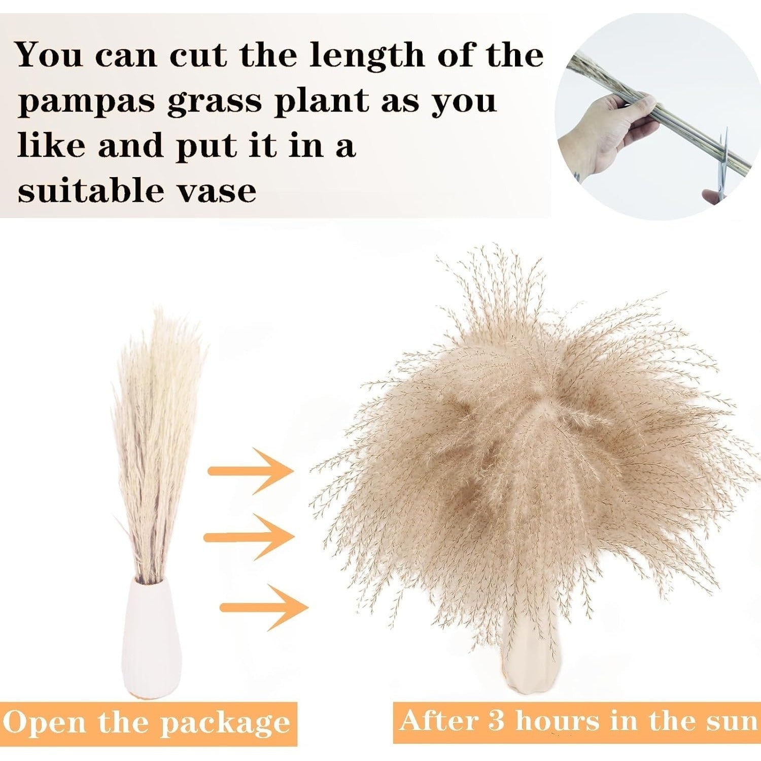 Ensemble de 128 décors d'herbes de pampas séchés