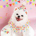 Pet Polka Dot Dentelle Bib costume d'anniversaire de chien
