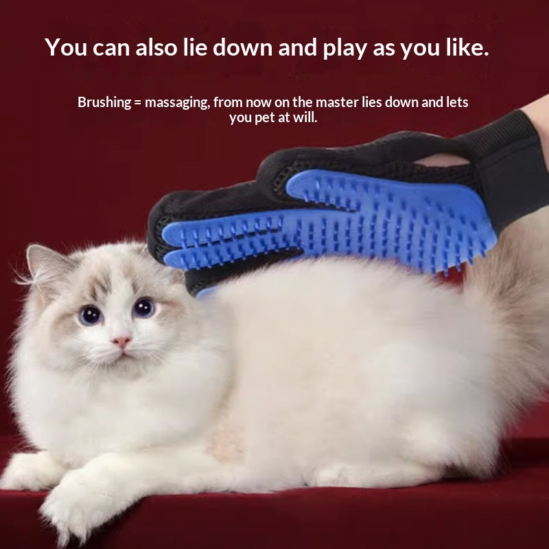 Gants pour chat d'animaux de compagnie