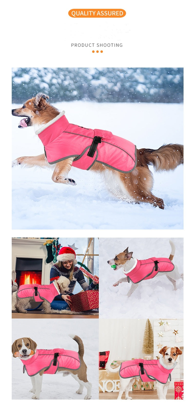 Animaux de compagnie Coton rembourré Coat Hiver Grand chien Golden Retriever Jarre Aero Bull Corgi Puppy Cloth