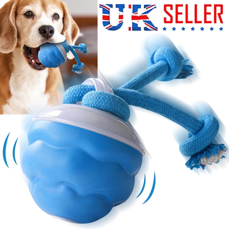 La Chase Buddy Dog Boredom Jouet stimulant Smart Pet Puppy Ball avec des ropes