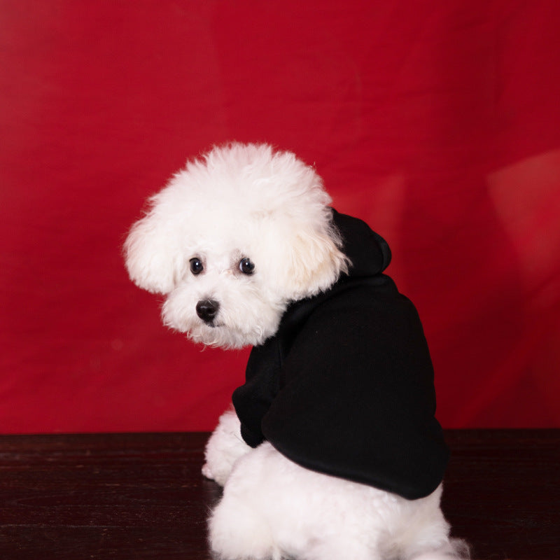 Hoodie pour chiens avec un hood