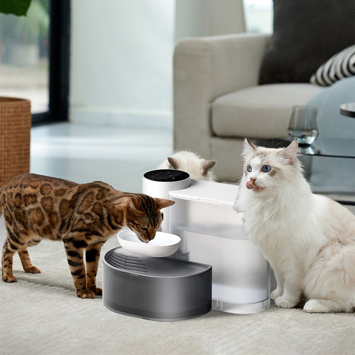1Pc Smart Pet Fontaine d'eau Distributeur automatique d'eau de chat 3L sans fil Rechargeable Dog Wa