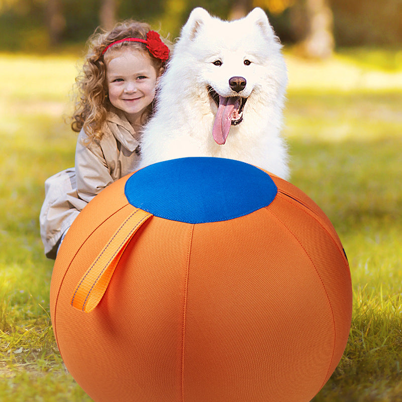 Jouet de boule de chien géant