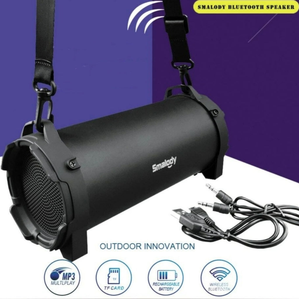 Haut-parleur Bluetooth sans fil Portable