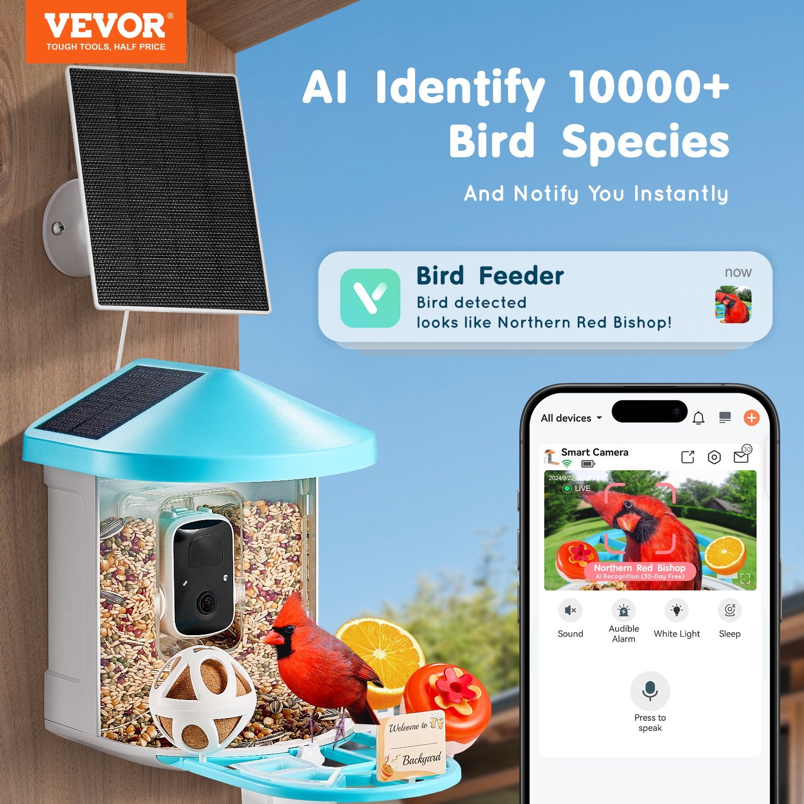 Feeder intelligent avec caméra AI identifier 10000+ Oiseaux Specie Solar-Powered