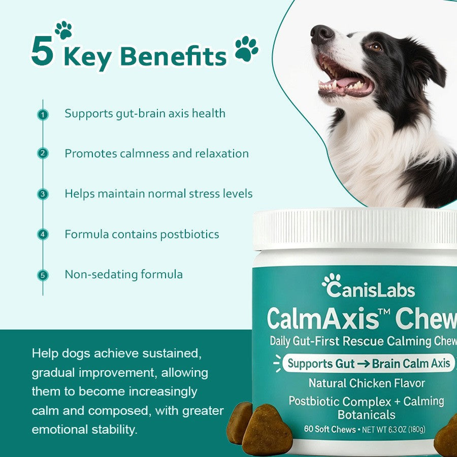 Nourriture pour chiens d'élevage d'animaux 180g