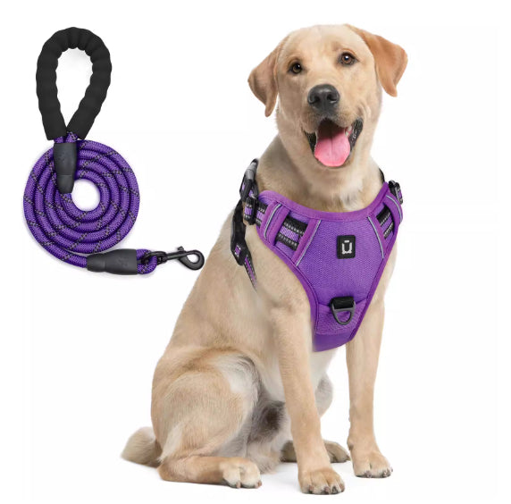 Harnais de chien et combo de laisse avec conception de preuve d'évasion