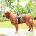 Personnalisation des produits de sangle de poitrine pour animaux de compagnie