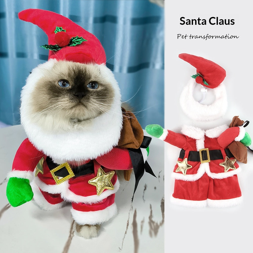 Déguisement du Père Noël pour chats et chiens