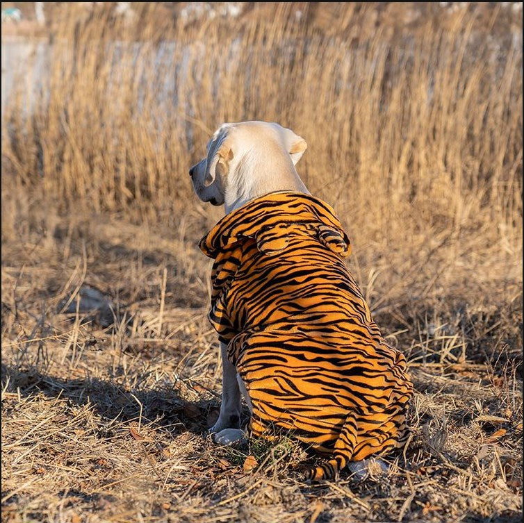 Grand vêtement Année Grand chien de taille moyenne