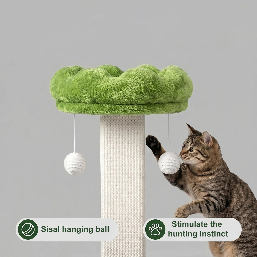 Flower Cat Scratching Post pour chat intérieur Scratcher avec perche confortable et amovible Pe